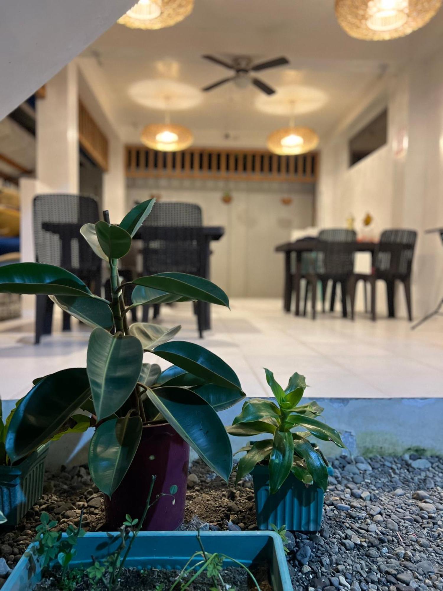Sunny Terrace Hotel Baler Ngoại thất bức ảnh