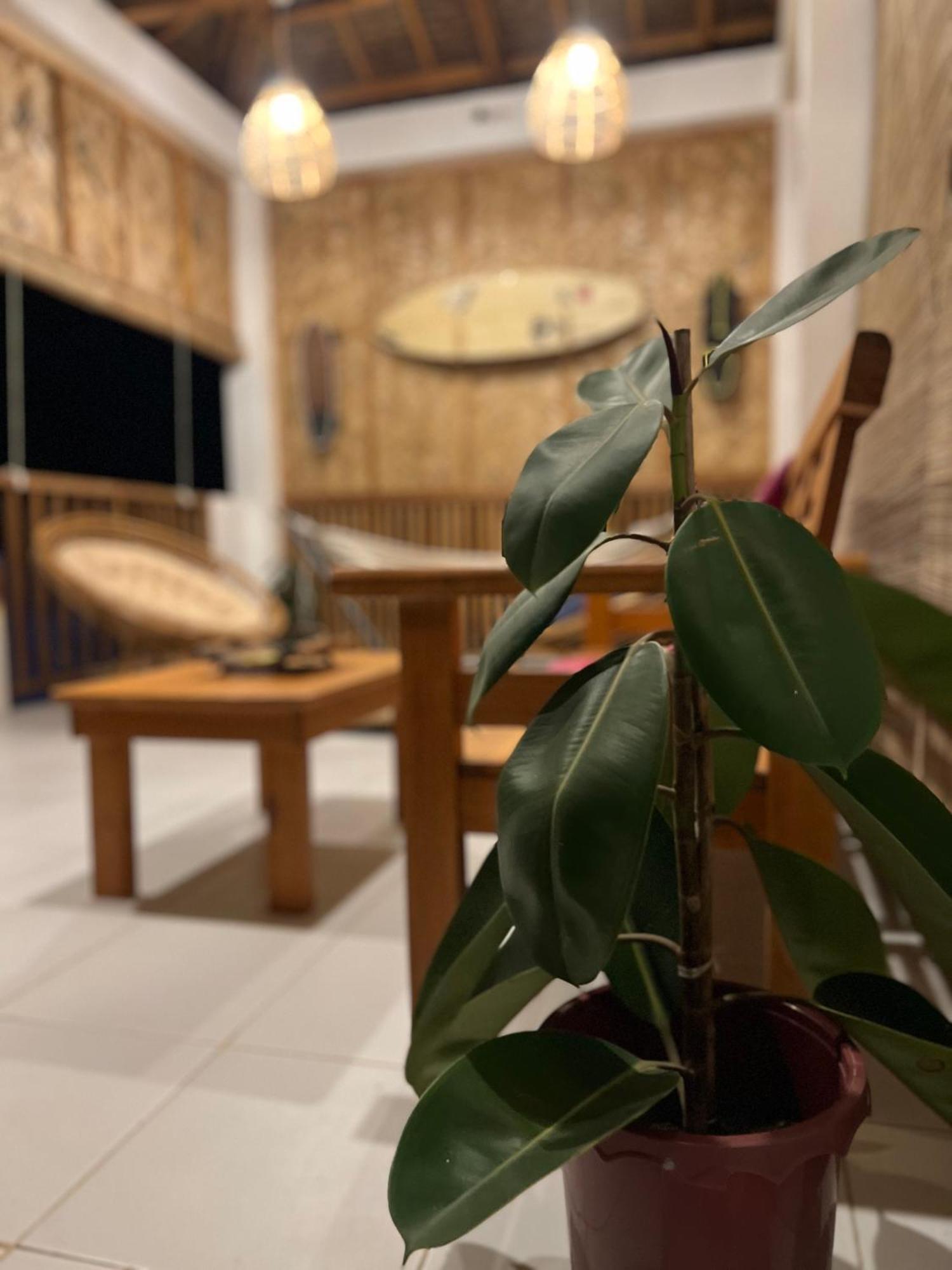 Sunny Terrace Hotel Baler Ngoại thất bức ảnh